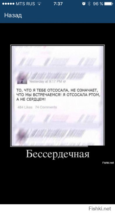 Из солянки от 01.02.2016