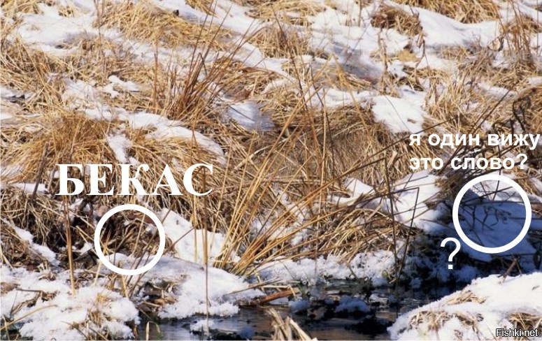 Пока искал бекаса, чё-то ещё нашёл.
