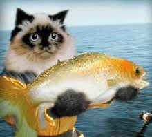 привет 
ну я другие писечки люблю - они буями зовутся,но за них банят ...
а тебе нравится минусить - ну и на здоровье милая , каждому свое 
 тебе 
лови 
исполнит все твои желания
хорошего вечера удовольствие 
лишь бы приятно было