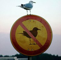 чтот напомнило