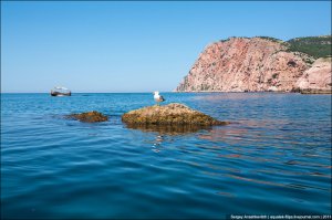 чтот напомнило