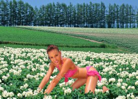 Оветочка от WOWJournal.ru