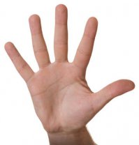 Из воспоминаний снайпера Л.Лазутина