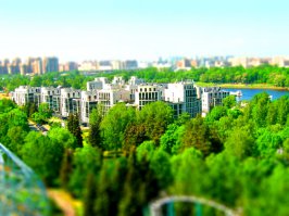 Питер, ЦПКиО