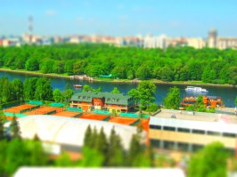 Питер, ЦПКиО
