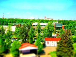 Питер, ЦПКиО