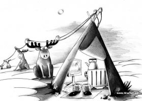 Разведывательная рота отдельной арктической мотострелковой бригады СФ 