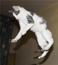 И это все одному...
Возьмите компаньона:)