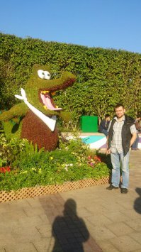 Прикольные скульптуры из кустарника и цветов