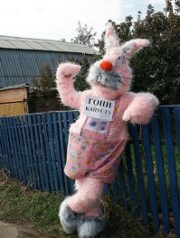 Фотоподборка за 03.02.2016