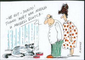 Если ты всем доволен, значит, тебе известно далеко не всё.
Осенью называется пора года, когда кончают жаловаться на жару и начинают жаловаться на холод.
Когда сантехник говорит, что она потеет, сам решай: он о трубе или про твою жену.
У одних жизнь - эротика, у других - сплошная порнография.
Дураки медленно пьянеют, ведь алкоголь бьет по мозгам.
Верить в загробную жизнь научила наша догробная жизнь.
Среди тех, кто выбился в люди, много и таких, кого мало били.
Между банкиром и неопытной проституткой есть сходство: они дают в долг.
Дуракам всегда везет. Умные понимают, что это временно.
Обжечься можно и на холодных женщинах.
Казино - это золотой унитаз, в который спускают целые состояния.
Лучшая закуска - это любая пища. Которую отправляешь в рот после водки.
«А что? А вдруг?» - ободрил себя ёжик, собираясь переползти через МКАД.
Обещание "буду любить тебя всю жизнь" такая же фигня как и "жить вечно".
Я от водки независим: могу еe и теплую, и холодную, с закуской и без.
Работа - не волк, залезешь на дерево и там тебя достанет.
Лучше это вряд ли, а хуже может быть всегда.
Если бы пчелы продавали мед, им бы жало было ни к чему.
Проститутка, избранная депутатом, на первом заседании обратилась к залу: "Уважаемые коллеги..."
Не люблю обещать. Потом ведь врать придётся.
Доступная цена - это когда ты можешь дотянуться рукой до ценника на товаре.
Не знаю, все ли мужики - козлы, но все козлы - мужики точно.
Запад сменил сексуальную ориентацию и это объясняет, для чего он повернулся к нам жопой. 

Человек, - единственное животное, способное на бесчеловечные поступки.