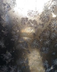 Пример как из ничего сделать интересное фото, говорите,что хотите, а мне кажется необычно. Снято на телефон.