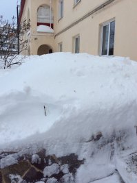 Фото сегодняшнего дня. А веточку, которая на переднем плане, воткнули вчера днем - вот столько снега накидало за сутки.