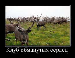 Муж решил проверить, любит ли его жена