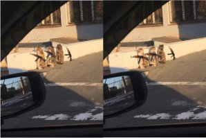 засада, спалились пацаны