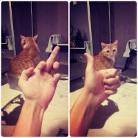 Фотоподборка за 04.02.2016