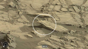 я нашёл трёхглавую черепаху