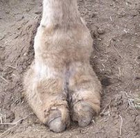 Почему я смотрю новости?!