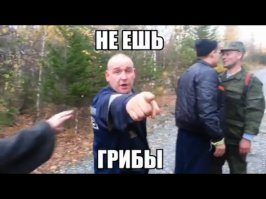 Турецкий репортер перепутал гриб с микрофоном