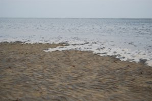 Беременная девушка так задорно танцевала под Бибера, что у нее отошли воды