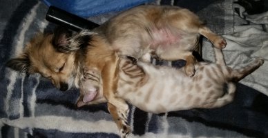 Как-то не очень понятно о чем пост, мы лучше спать))