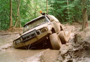 В Нечерноземье,на любой лесной дороге.