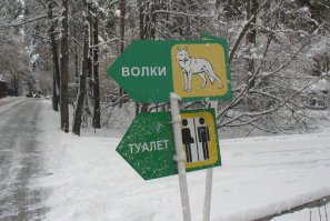 Фотоподборка за 04.02.2016