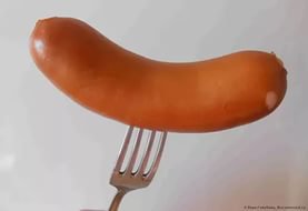 Знакомьтесь, знаменитая такса по кличке Крузо