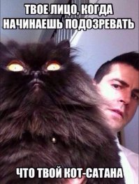 22 новых умопомрачительных объявлений с AVITO