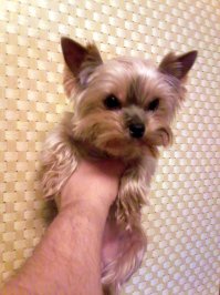 Люди шли и кривились, переступая грязное маленькое тельце