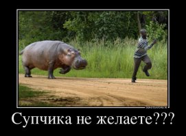 10 фактов о происхождении еды