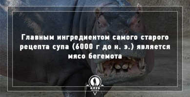 Плиз,дайте фотку этого бегемота без надписи))