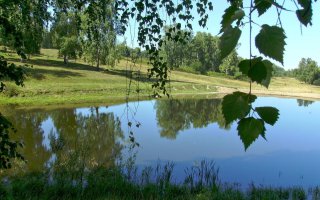 Не хотелось бы в таком месте жить. То ли дело у нас, в России...
