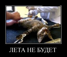 Люди шли и кривились, переступая грязное маленькое тельце