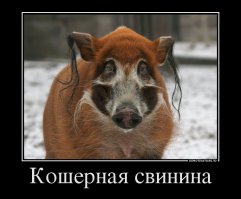 Соду он какую-то нашел... да что ви знаете о пгравильной еде?