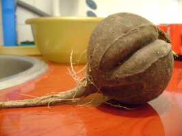 Класс! Подборочка порадовала! Парочку фоток от себя добавлю.