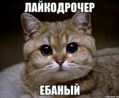Звонок, вернувший меня в прошлое