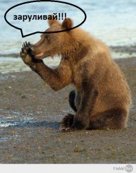 Сексуальные девушки и автомобили