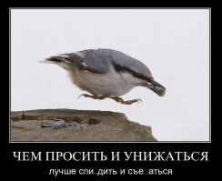 Как красиво украсть забытый телефон 