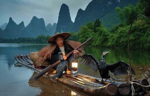 Китайские рыбаки и их ручные бакланы