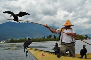 Китайские рыбаки и их ручные бакланы