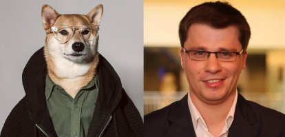 Я прям как собаку увидел, сразу образ Гарика Харламова перед глазами встал :)