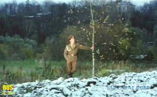 Почему то вспомнилось: служил в одной артиллерийской части под Киевом дембель, и оставалось служить ему три дня и три ночи...