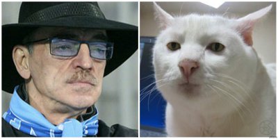 Смешные картинки