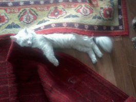 моему Милку нравиться такой дизайн