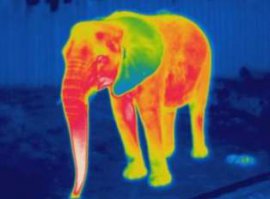 тема называлась изначально так: 25 потрясающих светящихся в темноте татуировок, видимых в инфрокрасном свете. Можете посмотреть в адресной строке там не исправлено. и я просил выложить картинку для автора в том свете в котором он указал.