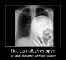 Смешные картинки