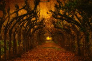 Фотоподборка за 05.02.2016