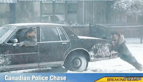 Канадская полицейская погоня. :)