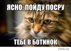 10 животных, которые популярнее, чем звёзды шоу-бизнеса